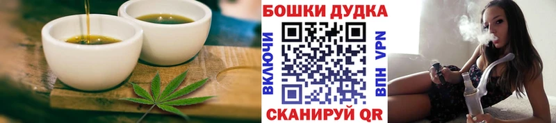 Купить где  Мончегорск  Canna-Cookies конопля 