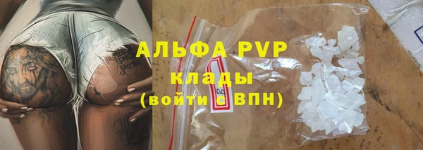 ПСИЛОЦИБИНОВЫЕ ГРИБЫ Вязьма