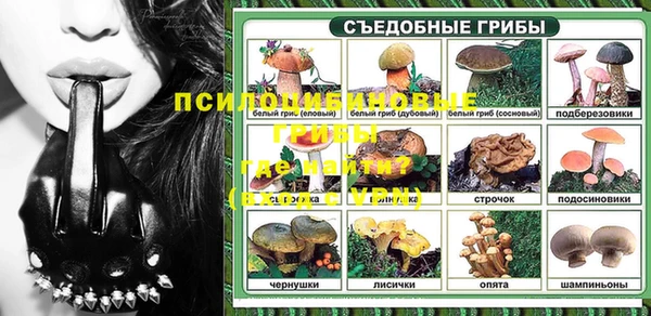 ПСИЛОЦИБИНОВЫЕ ГРИБЫ Вязьма