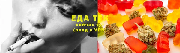гашик Горняк