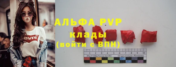 гашик Горняк